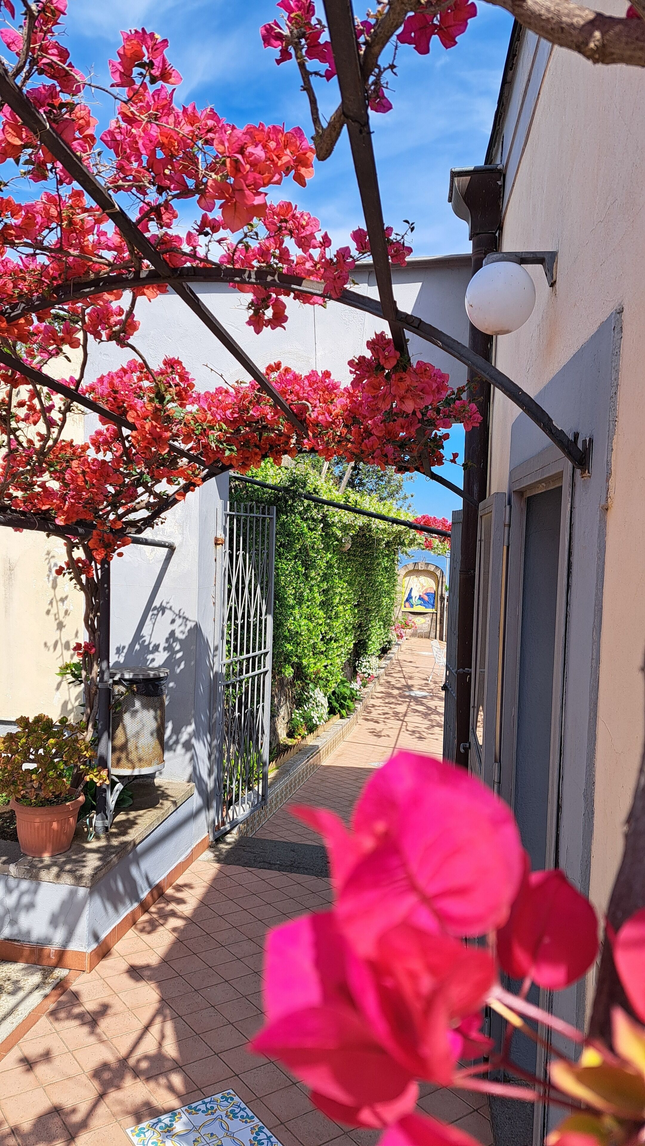 Kapea kujanne, jonka yllä on vaaleanpunaisilla bougainvillean kukilla peitetty pergola, laatoitettu polku ja valkoisella seinällä ja sinisellä ovella varustettu rakennus.