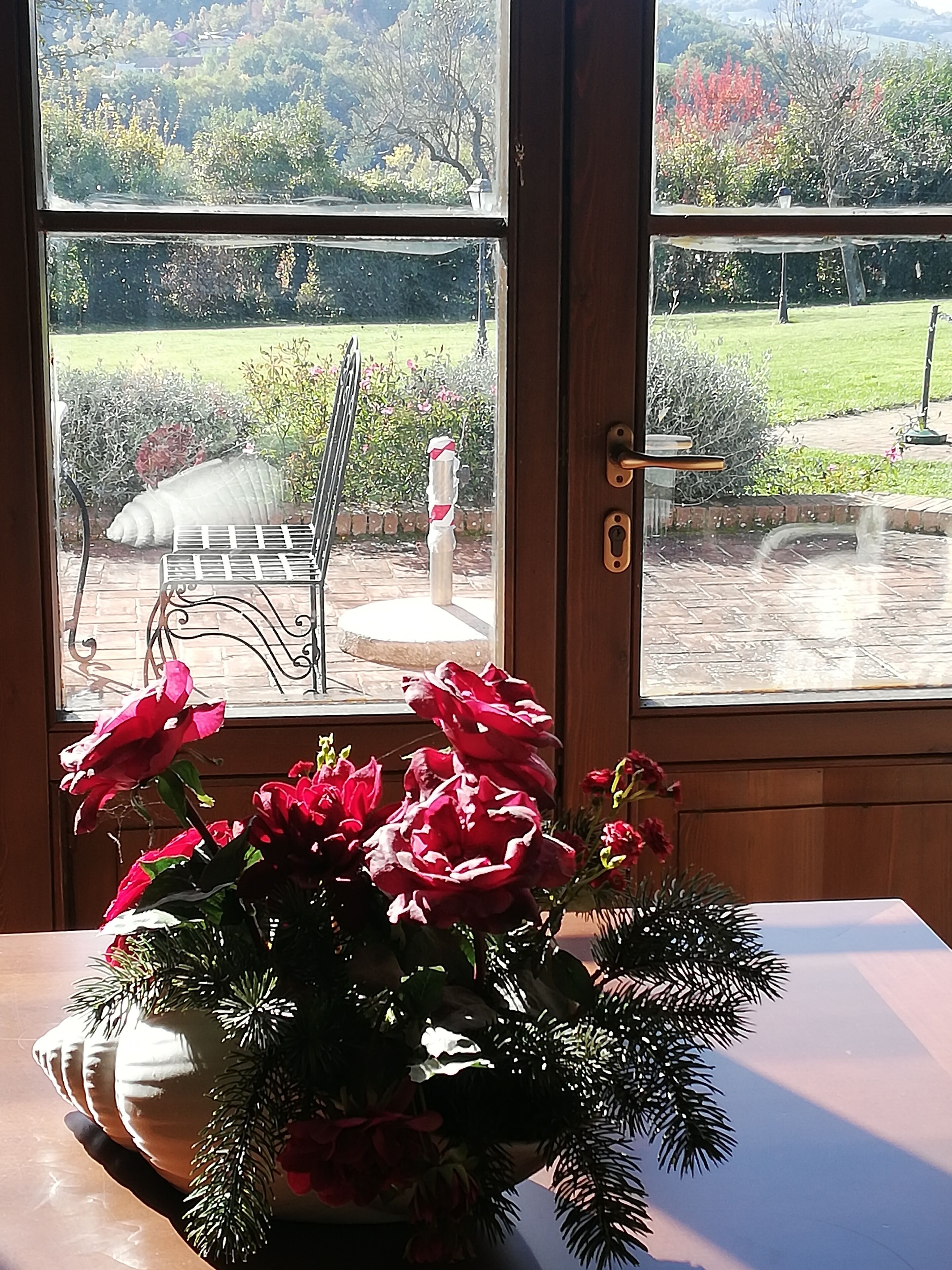 Ein Fenster mit Blick auf einen Garten, ein Stuhl und ein Blumentopf mit roten Blüten.