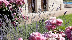 A stone building with a tiled roof, two windows with flower boxes, and a garden with pink flowers and lavender. - Country House Parco Ducale (Urbania)