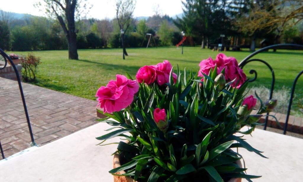 Une plante en pot avec des fleurs roses, placée sur une terrasse.