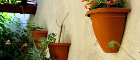 Terracotta hanging planters with plants and flowers against a wall.