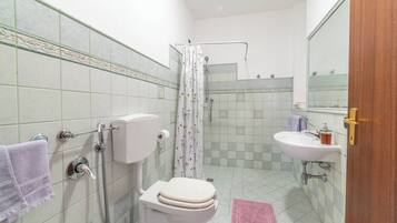 Un baño con inodoro, ducha, lavabo y espejo.