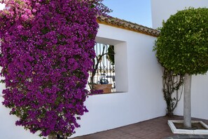 Detalle exterior