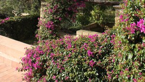 Un jardín con un gran árbol, arbustos floreados y una estructura de piedra.