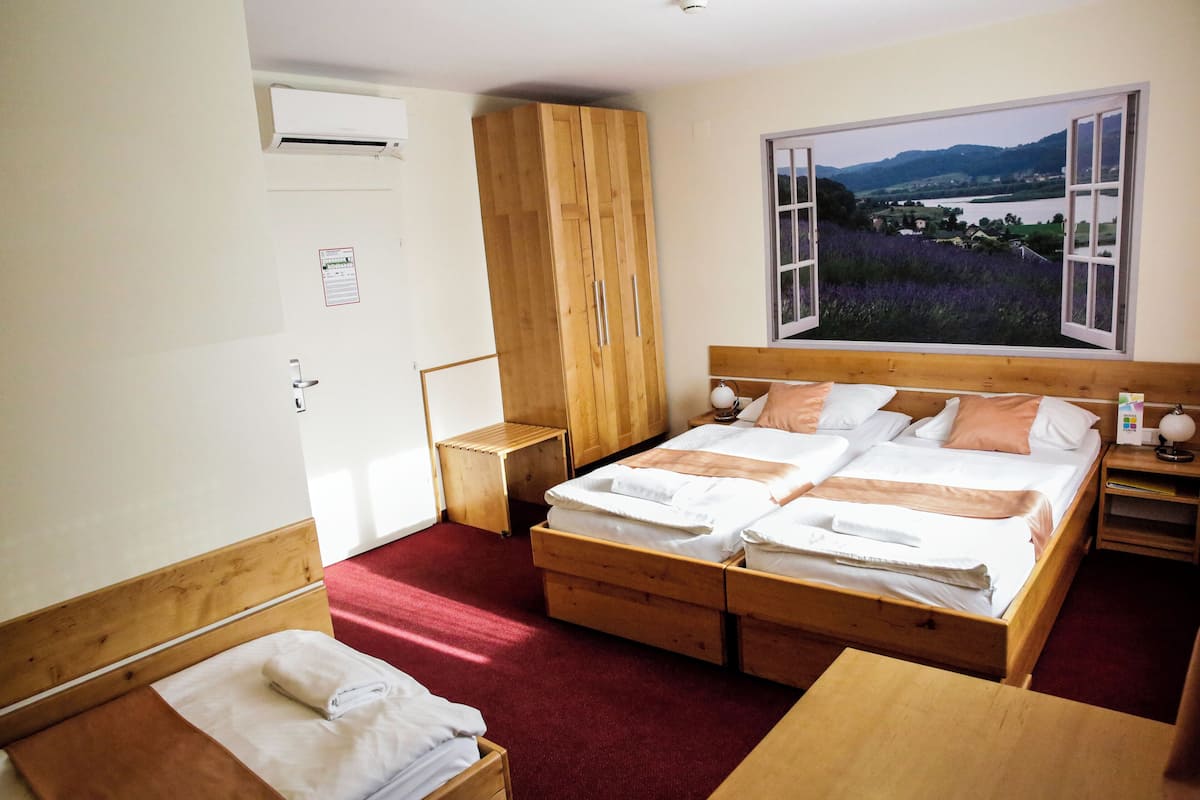 A bedroom with two beds, a wardrobe, a window with a scenic view, and a red carpet.