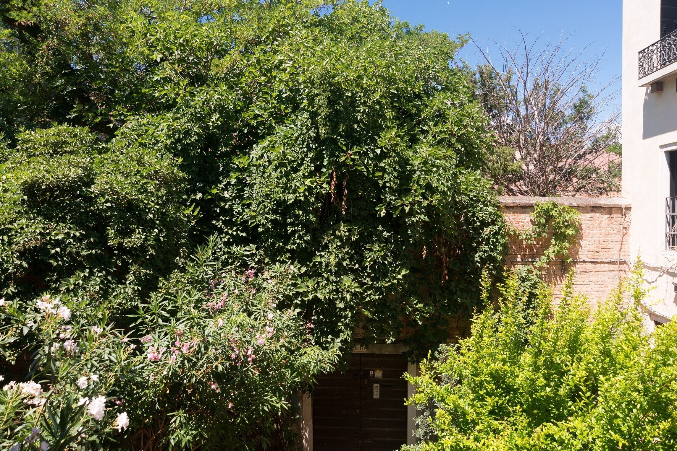 Foto - B&B Casa Baseggio