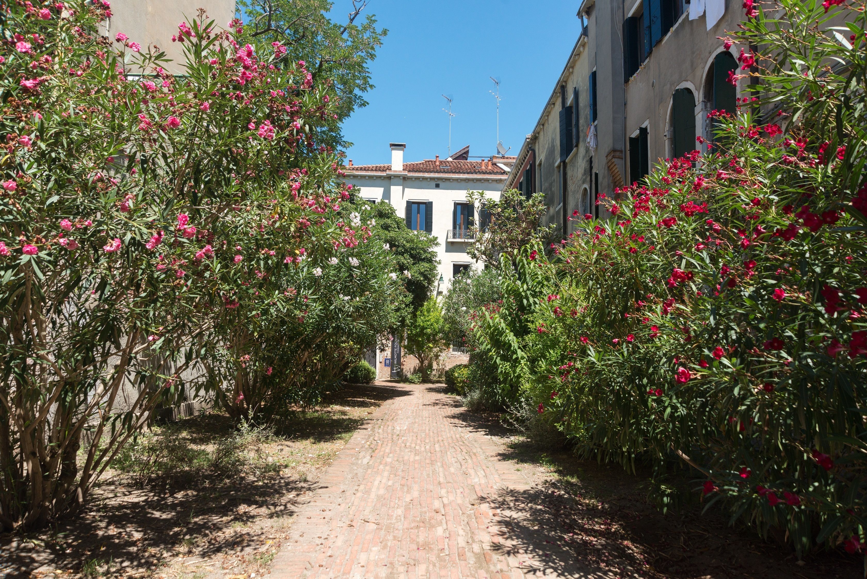 Foto - B&B Casa Baseggio