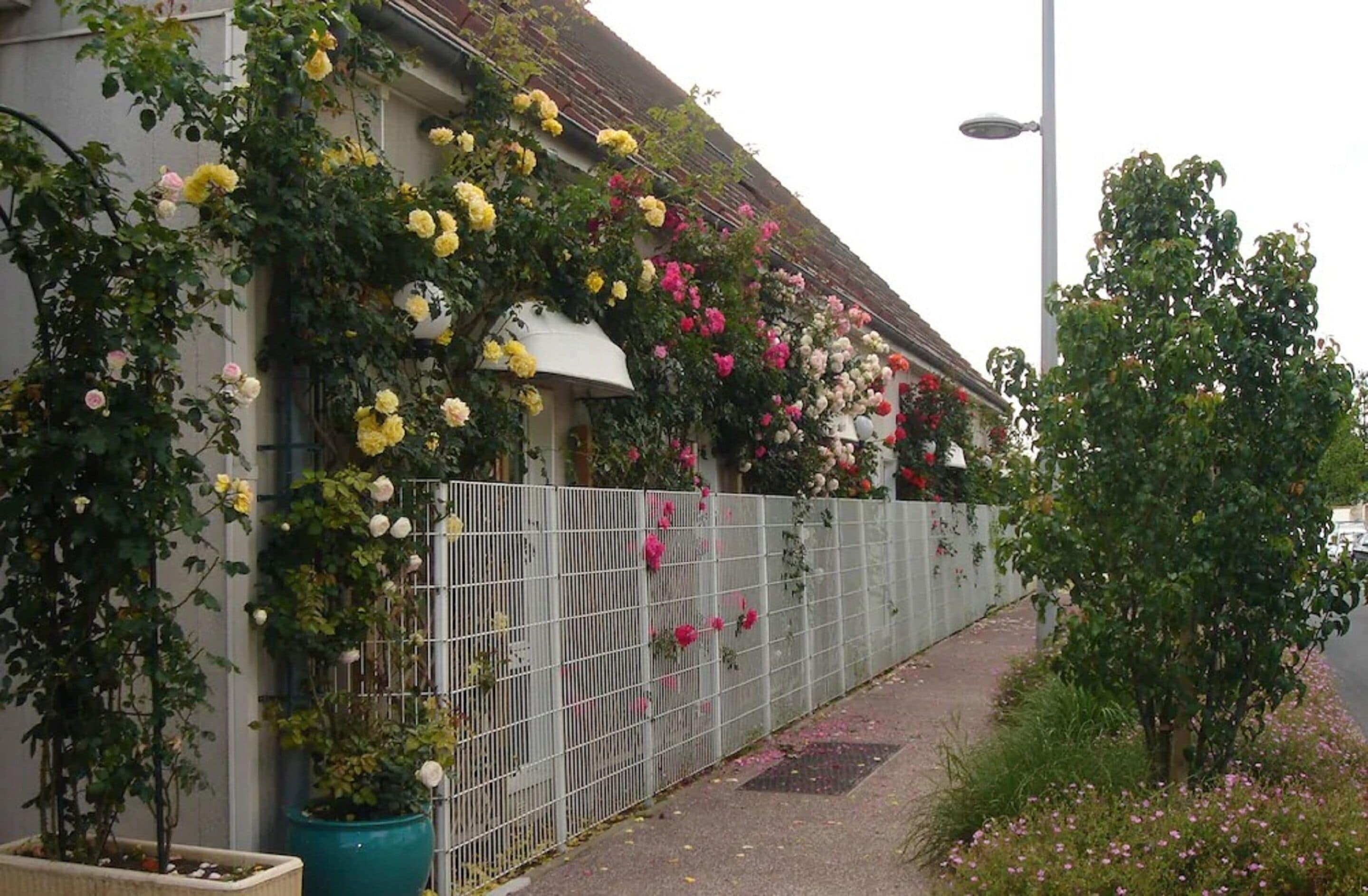 Foto - Hôtel Restaurant Maison Blanche