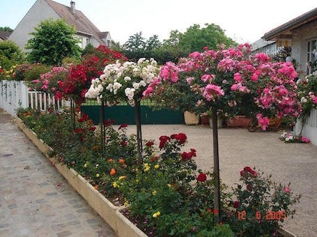Jardín