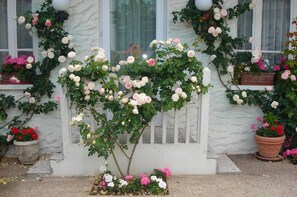 Un bâtiment blanc, avec une clôture en bois peinte en blanc et un arbre aux fleurs roses et blanches.