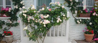 Hôtel Restaurant Maison Blanche