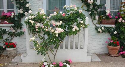 HĂŽtel Restaurant Maison Blanche