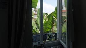 A window with a view of a balcony, curtains, and large green leaves. - Logis Hôtel Villa Victorine (Nice)