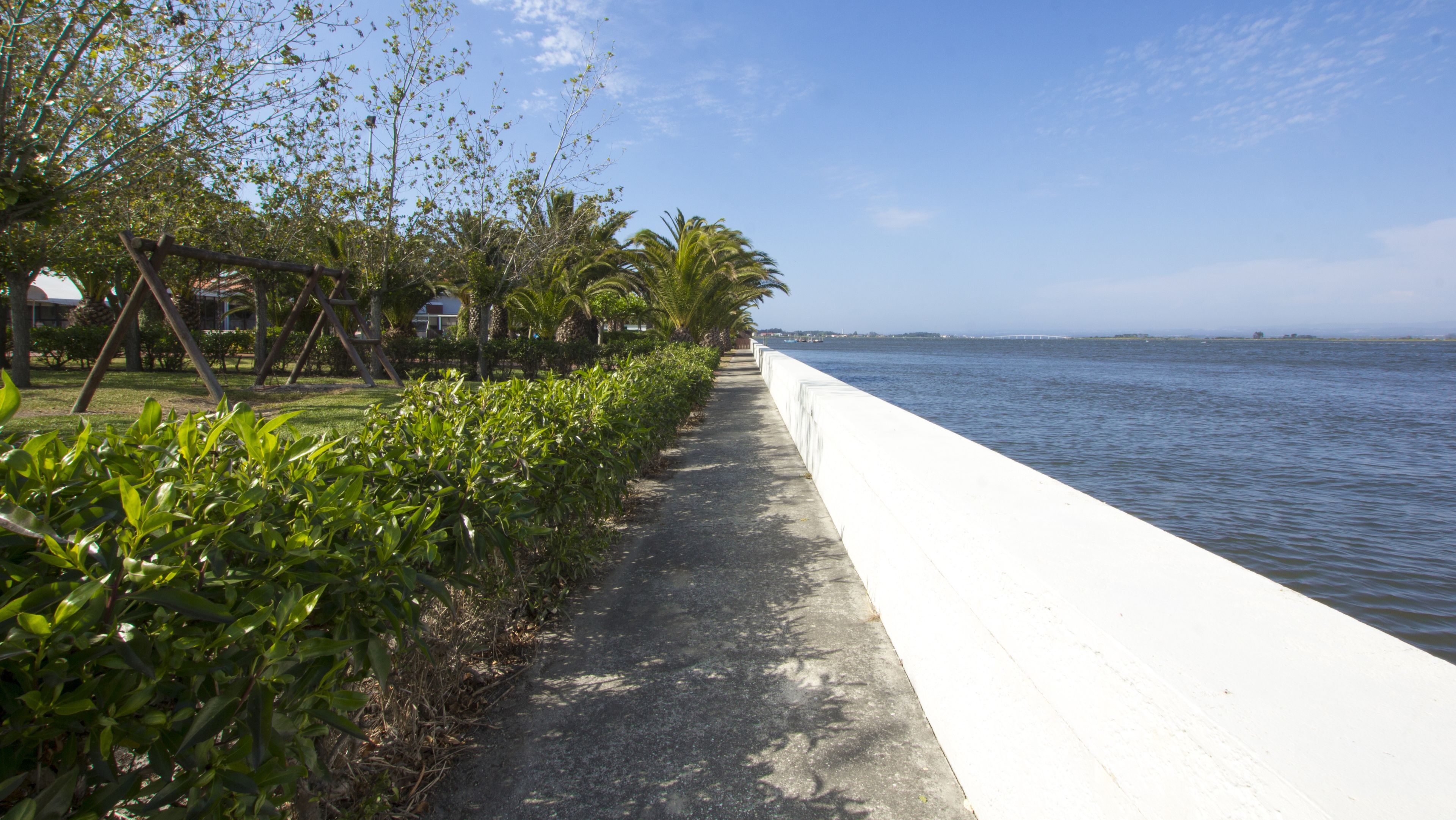 Un paseo marítimo con barandilla de concreto, abundante vegetación y vista despejada al agua.