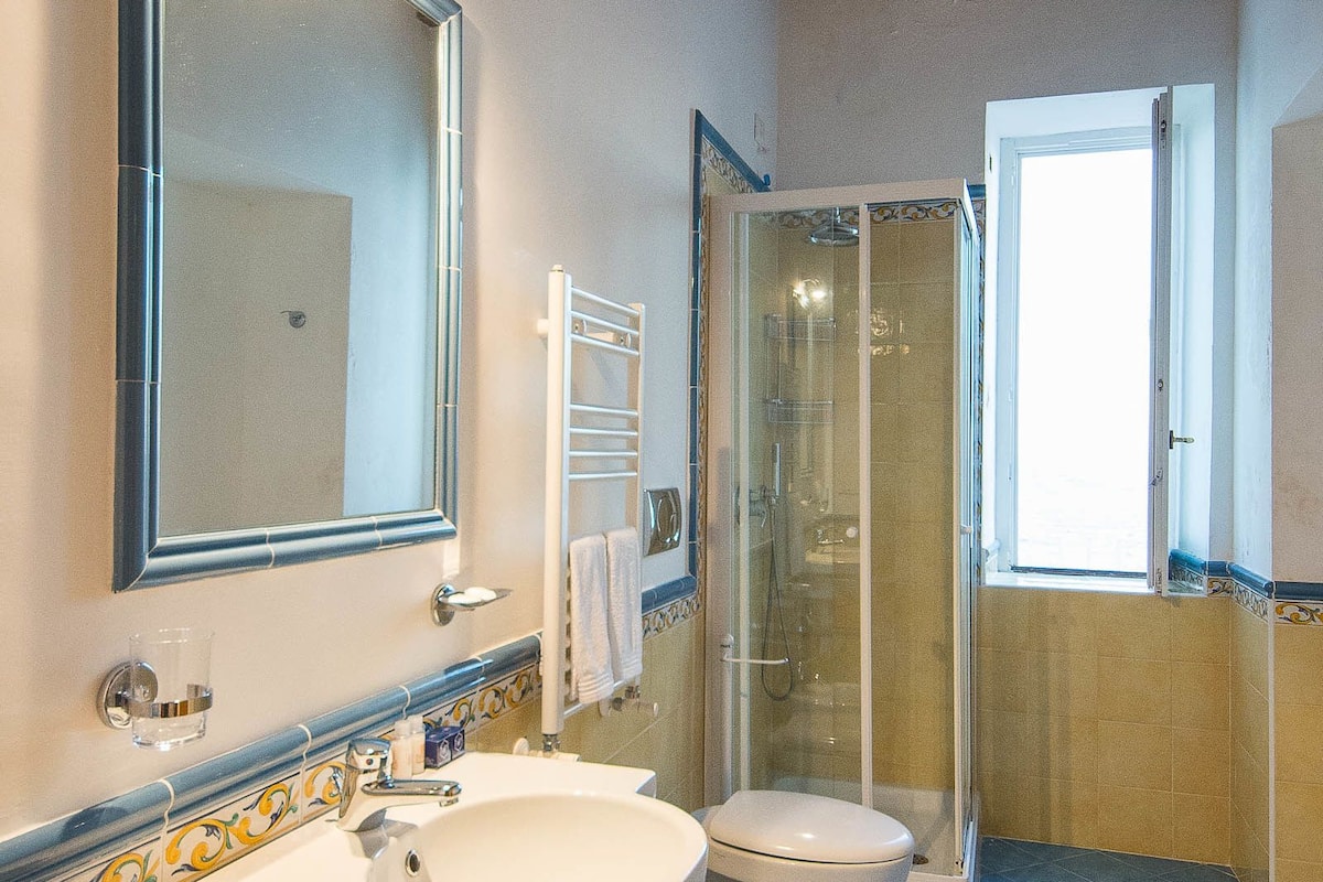 shower, rainfall showerhead, free toiletries, hair dryer