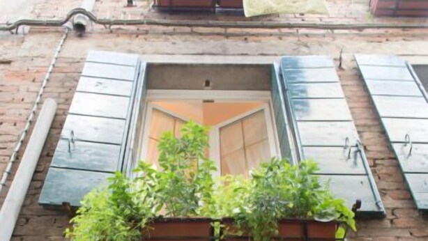 Un bâtiment en briques avec un jardon en bois contenant des plantes, un lampadaire et une plaque indiquant l’adresse, bien visible.