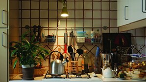 A kitchen with a gas stove, a kettle, a potted plant, and various kitchen utensils. - Luna Caprese (Naples)
