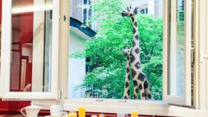 Una mesa de desayuno con platos, tazas y vasos de jugo, y una vista de dos jirafas fuera de una ventana.