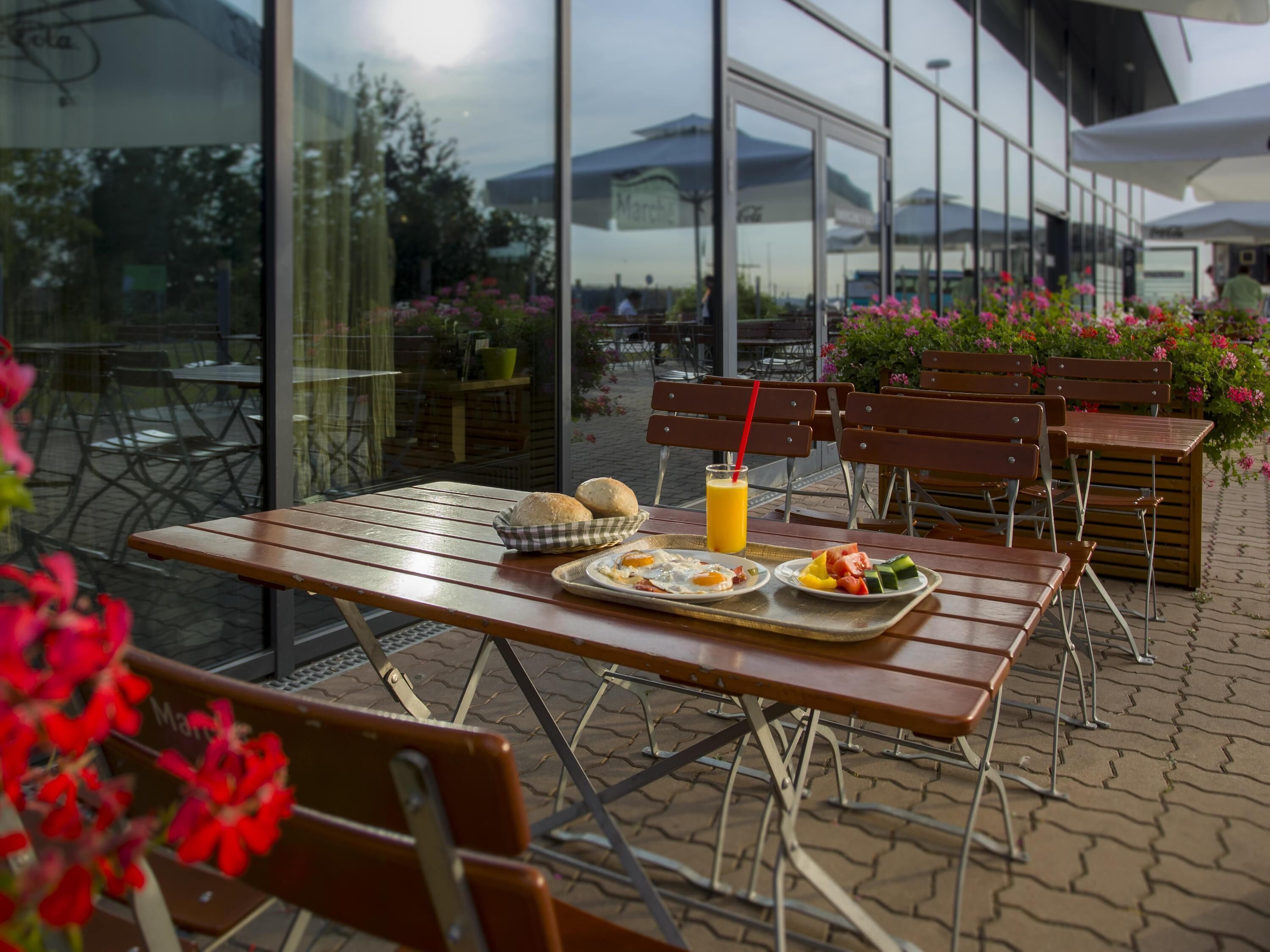Terraza o patio