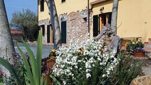 Um edifício amarelo com detalhes em pedra, várias janelas e um jardim com diversas plantas e flores.