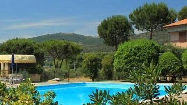 Una piscina con sillones de descanso y sombrillas, rodeada de árboles y un edificio de techo rojo.
