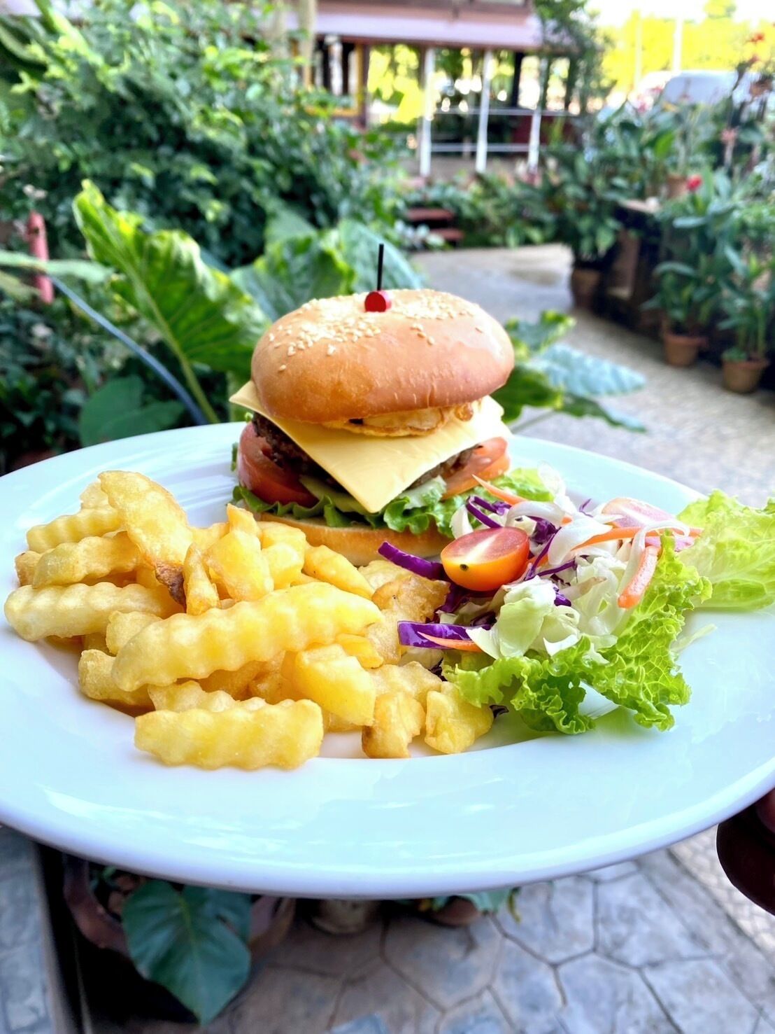 Een bord met een hamburger, frietjes en een salade.