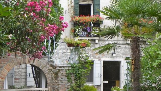 A building with a stone facade, a balcony with potted plants, and a palm tree. - Palazzo Soderini (Venice)