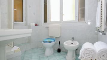 Habitación doble | Baño | Ducha, secador de pelo, toallas y jabón