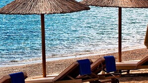Une plage avec des parasols en chaume et des chaises longues.
