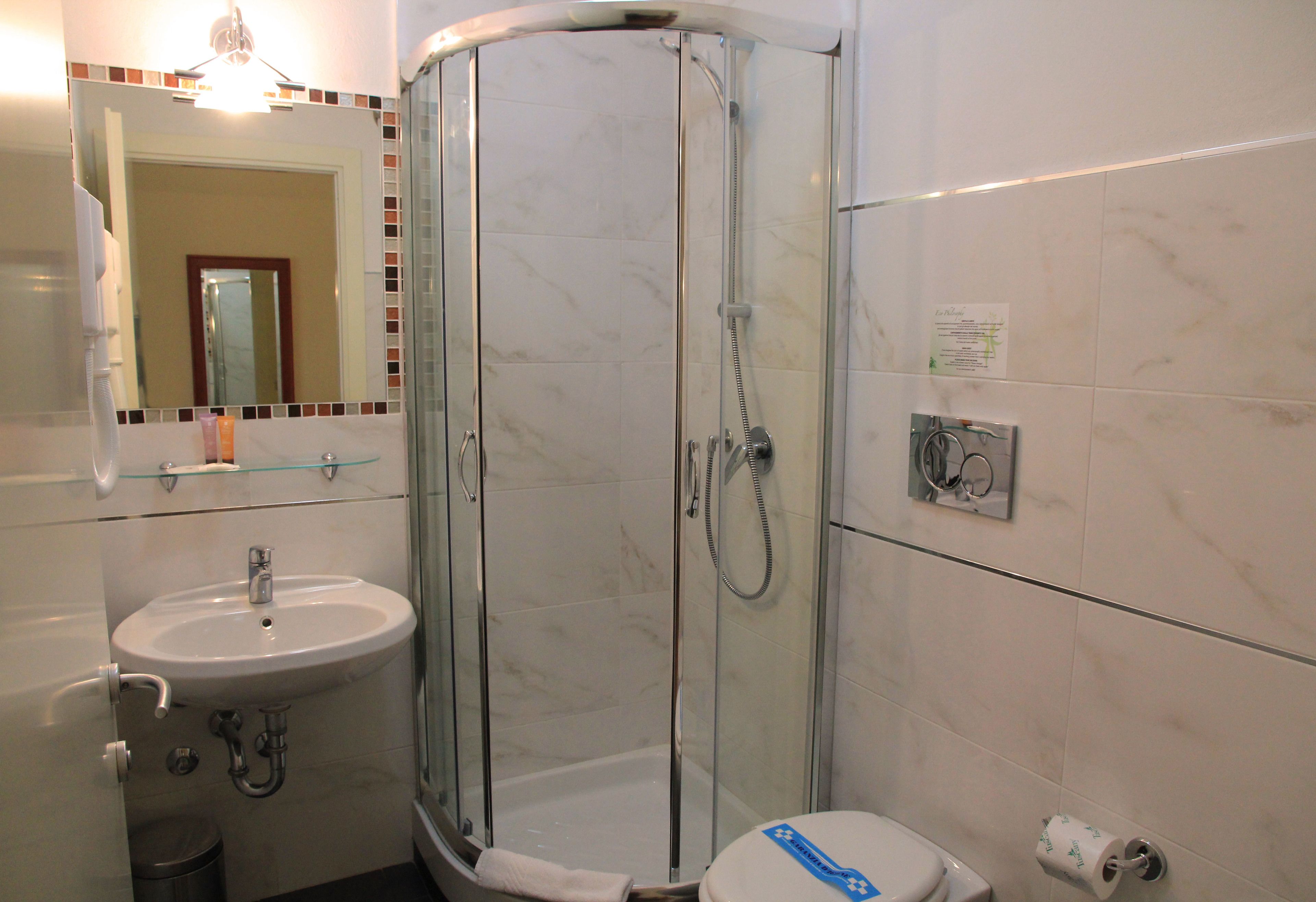 deluxe double or twin room | bathroom | shower, free toiletries, hair dryer, bidet