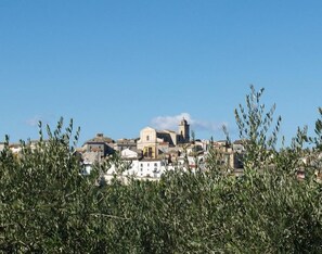 A town with historical architecture, including a prominent church and various buildings. - Villa San Giacomo (Scerni)