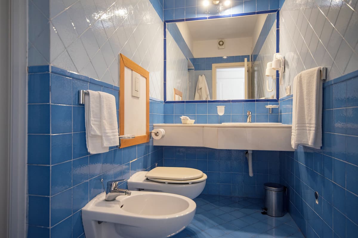 standard double or twin room, patio, sea view | bathroom | shower, rainfall showerhead, free toiletries, hair dryer