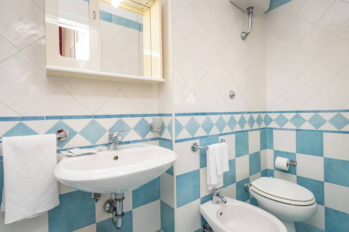 double room | bathroom | shower, hair dryer, towels, soap