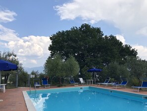 Seasonal outdoor pool, pool umbrellas, pool loungers