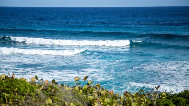 View from property - Surfers Manor (Gregory Town)