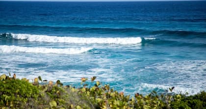 Surfers Manor