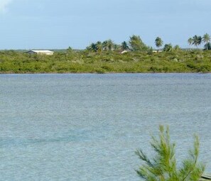 Vue sur la plage ou l’océan