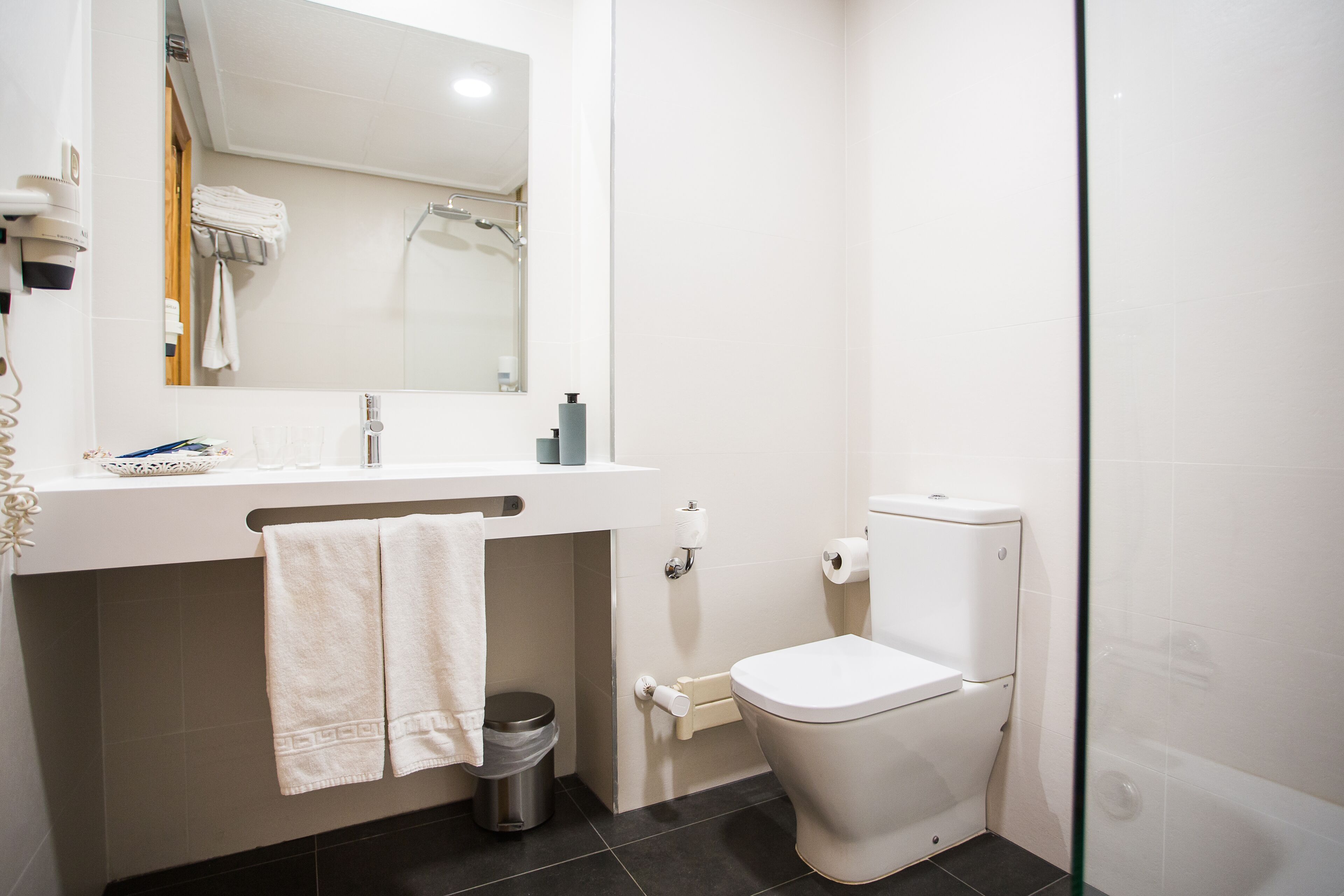 hair dryer, towels, soap, shampoo