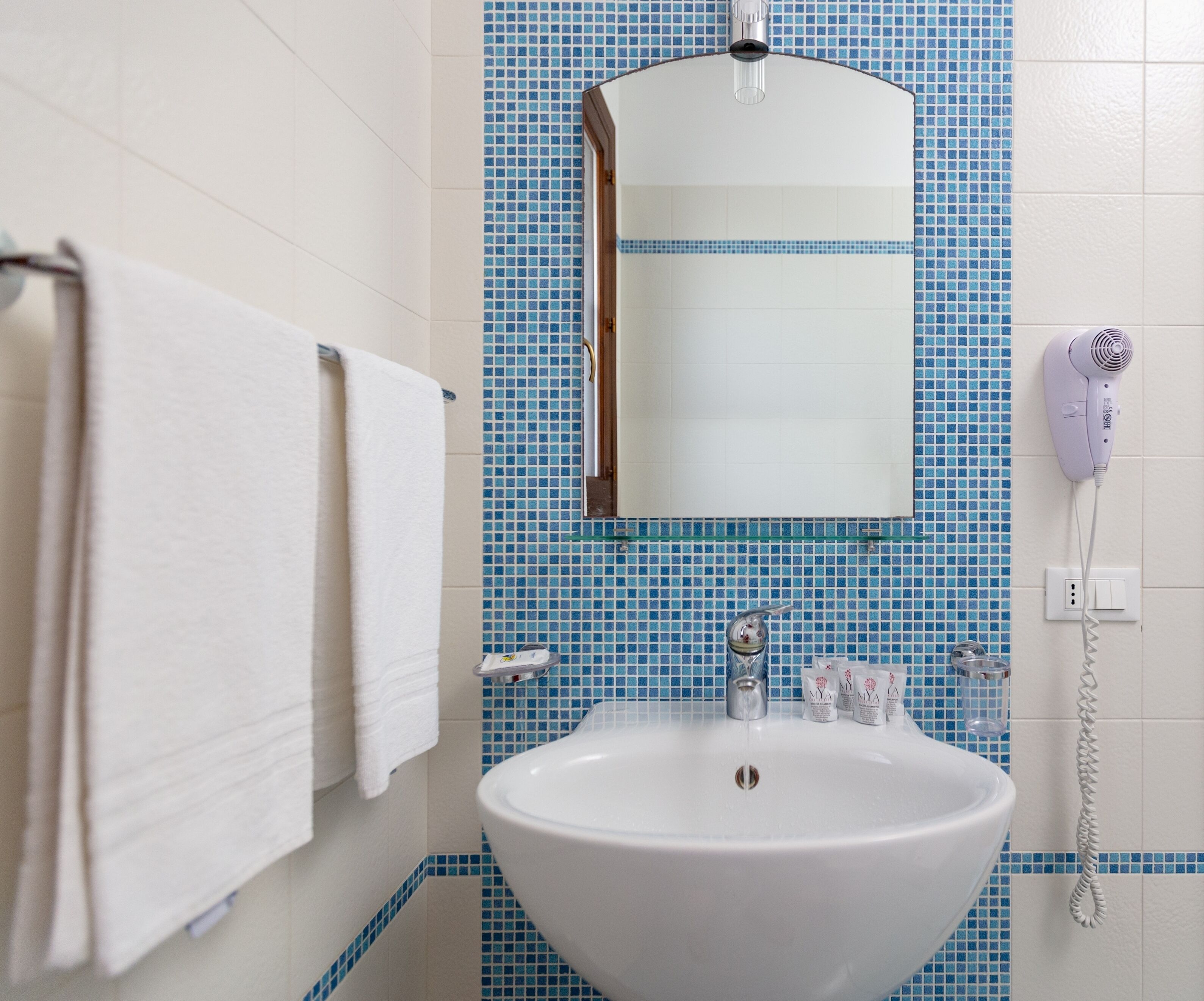 shower, free toiletries, hair dryer, bidet