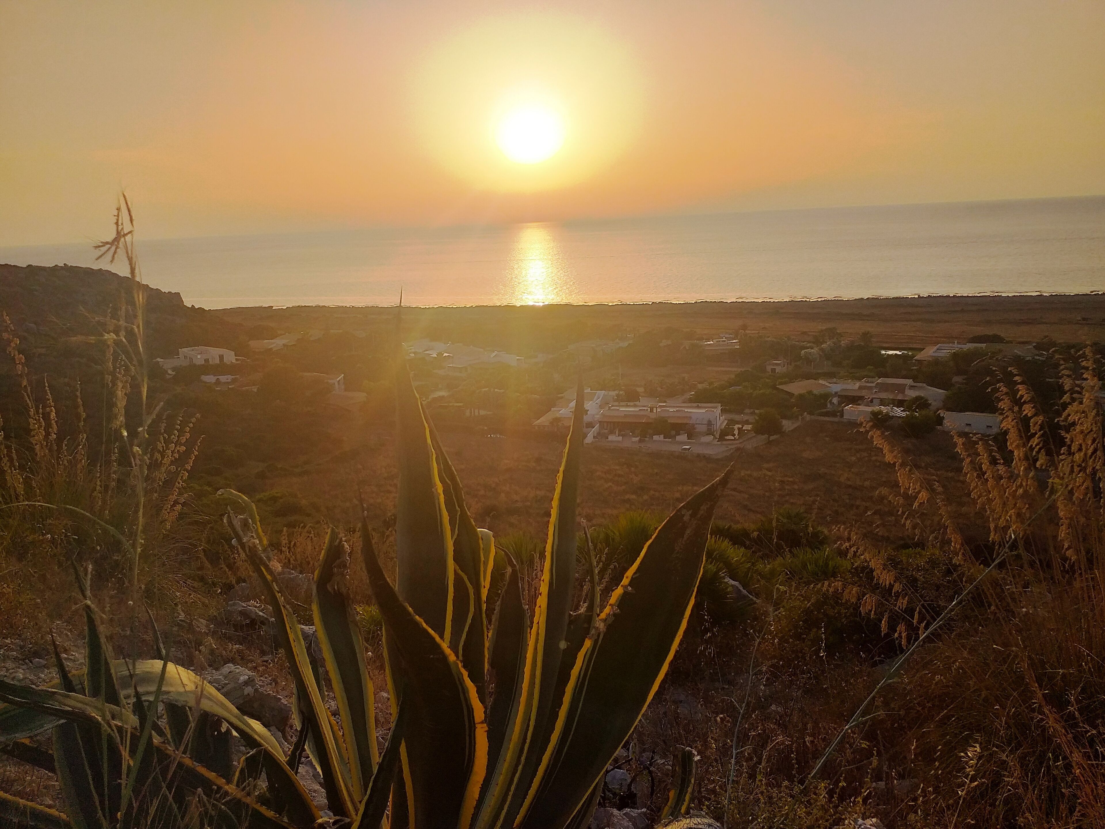 A coastal landscape with a sunset, featuring a view of the sea and distant buildings.