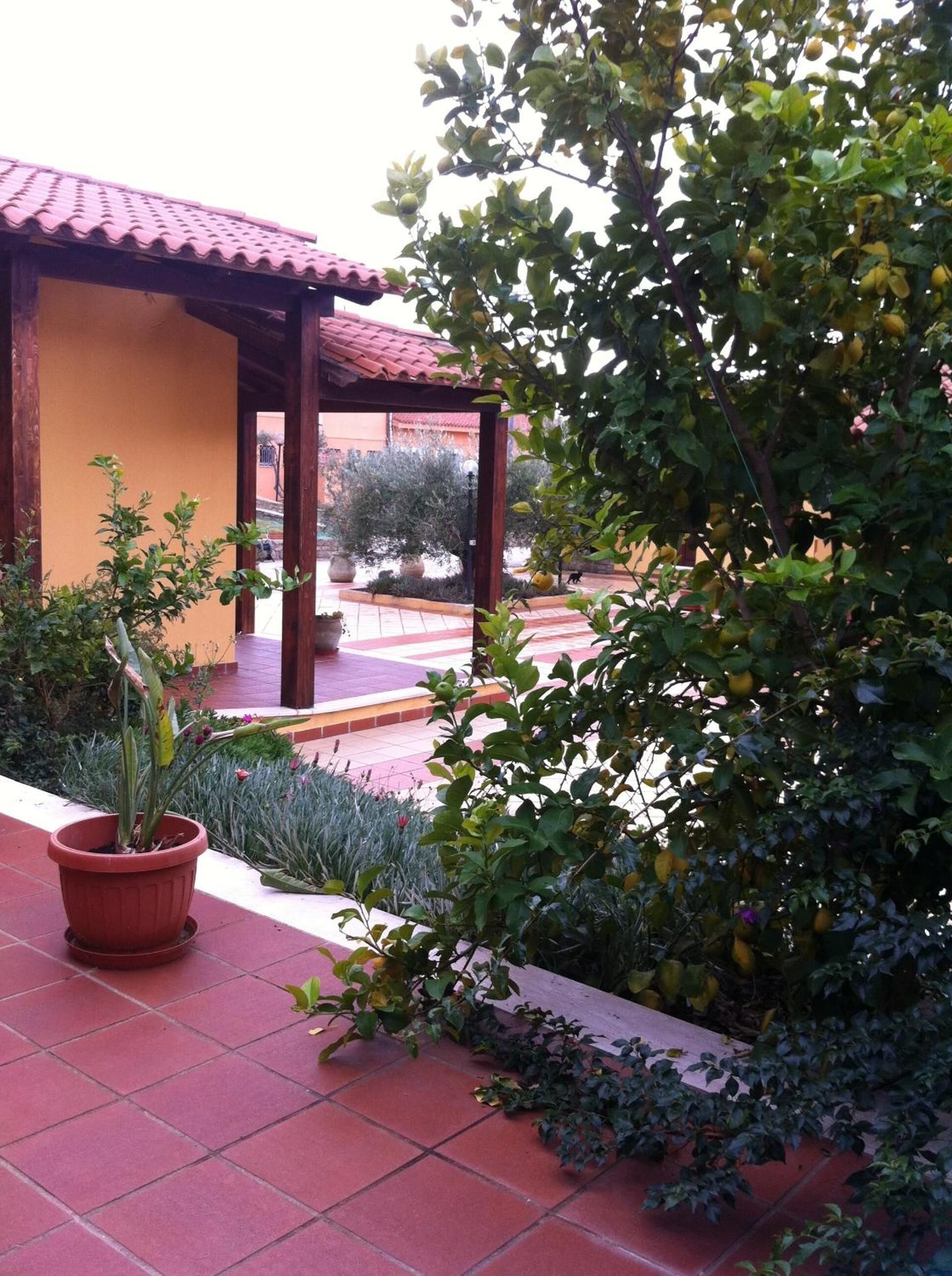 A courtyard with a tiled floor, a wooden pergola, and potted plants.