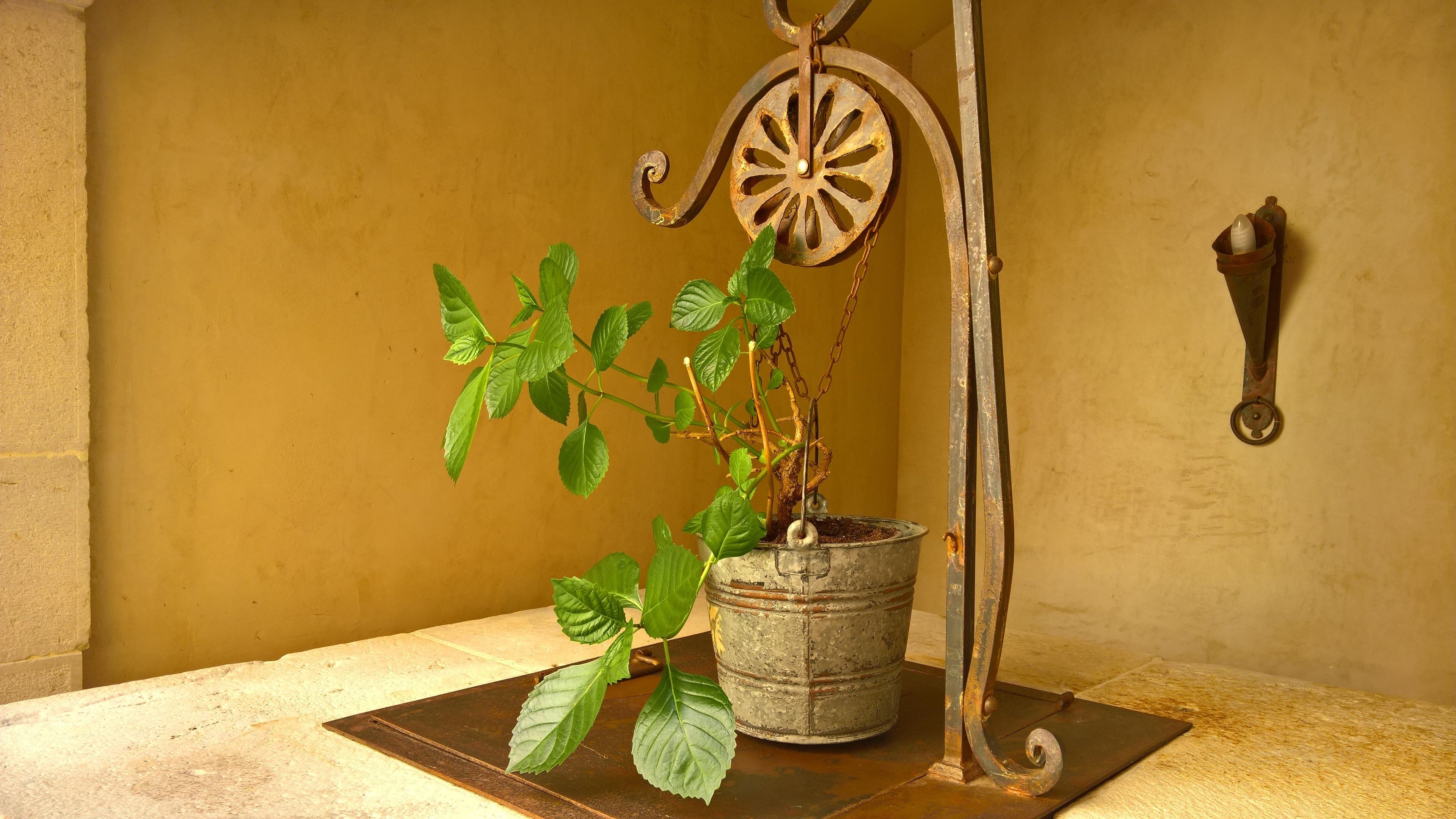 A potted plant with a rustic metal stand on a tiled floor against a yellow wall.