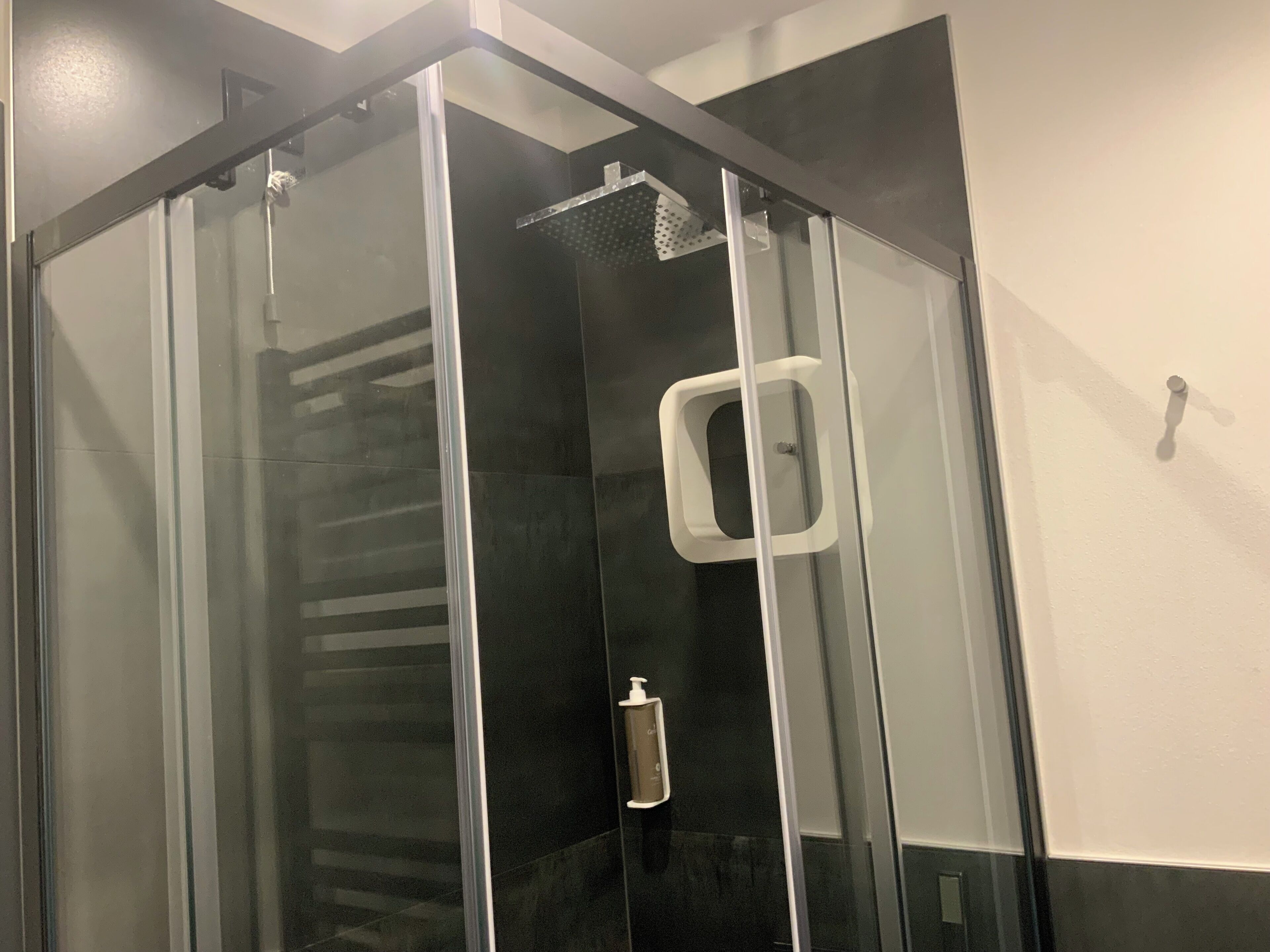 Eine Duschkabine mit Glas, einer Handbrause und einer Seifenspender.