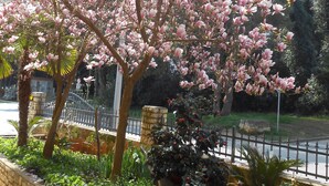 Un jardin agrémenté d’un grand arbre en fleurs, d’un mur de pierre et d’une clôture en métal.