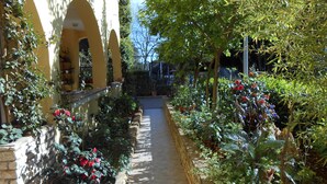 Un étroit sentier bordé de plantes en pot et un bâtiment jaune orné d’arcades.