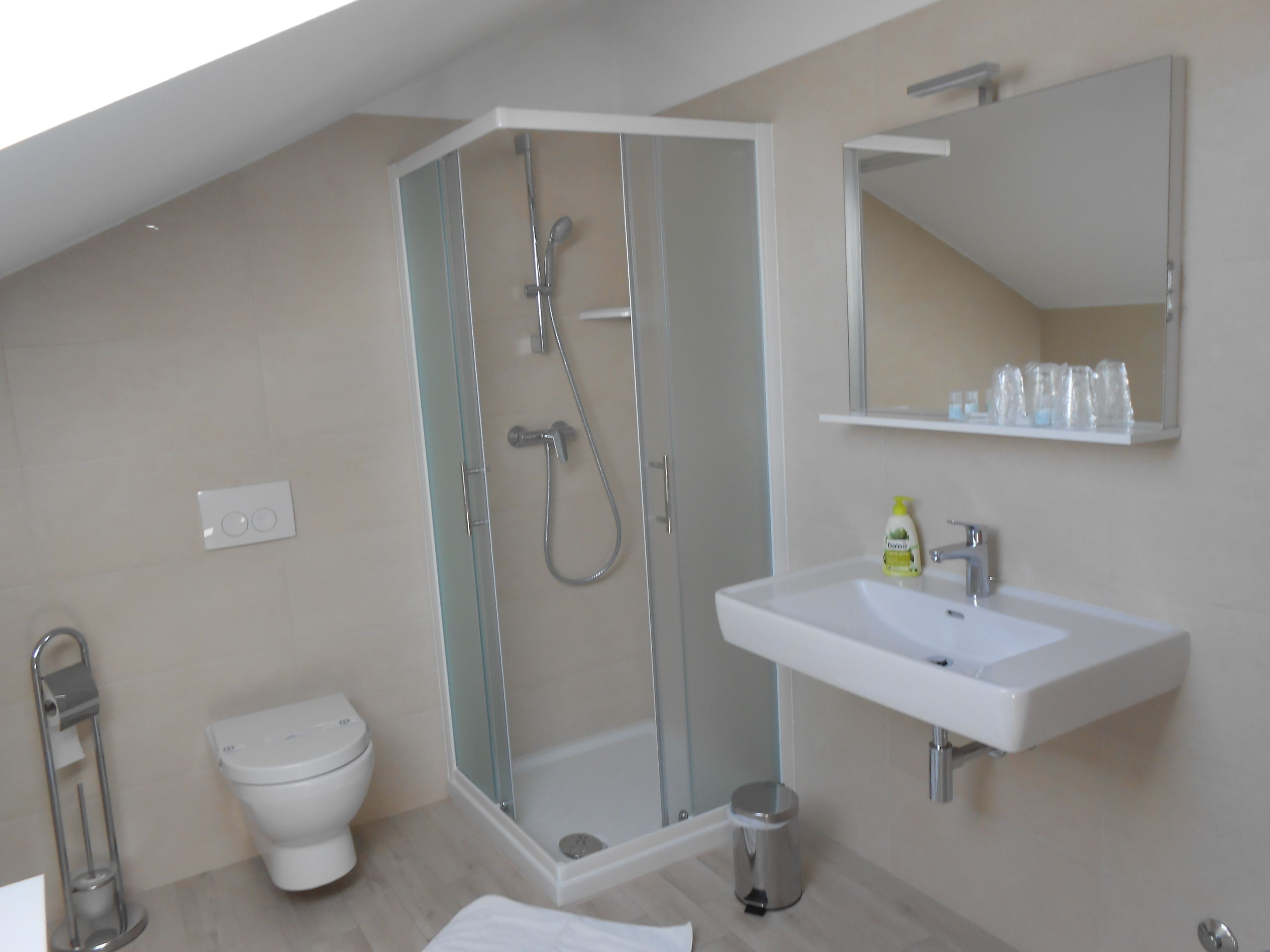 shower, free toiletries, hair dryer, towels