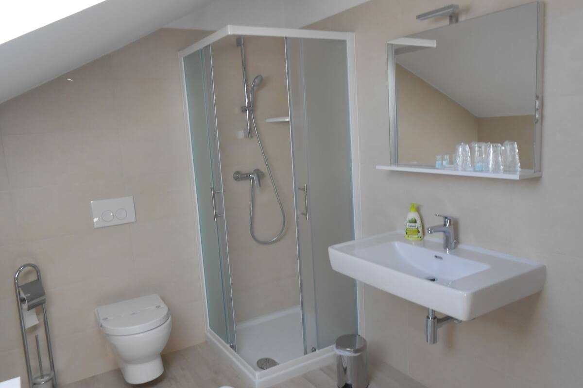 shower, free toiletries, hair dryer, towels