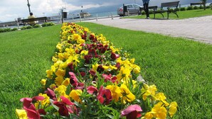 A flower bed with yellow and red flowers along a pathway. - Apartments Kosta (Ohrid)