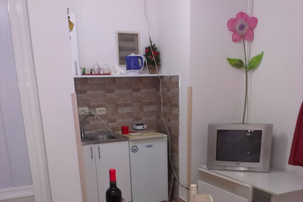 A compact kitchen with a sink, a small refrigerator, a microwave, and a television on a stand. There is a dining table with a wine bottle and glass.