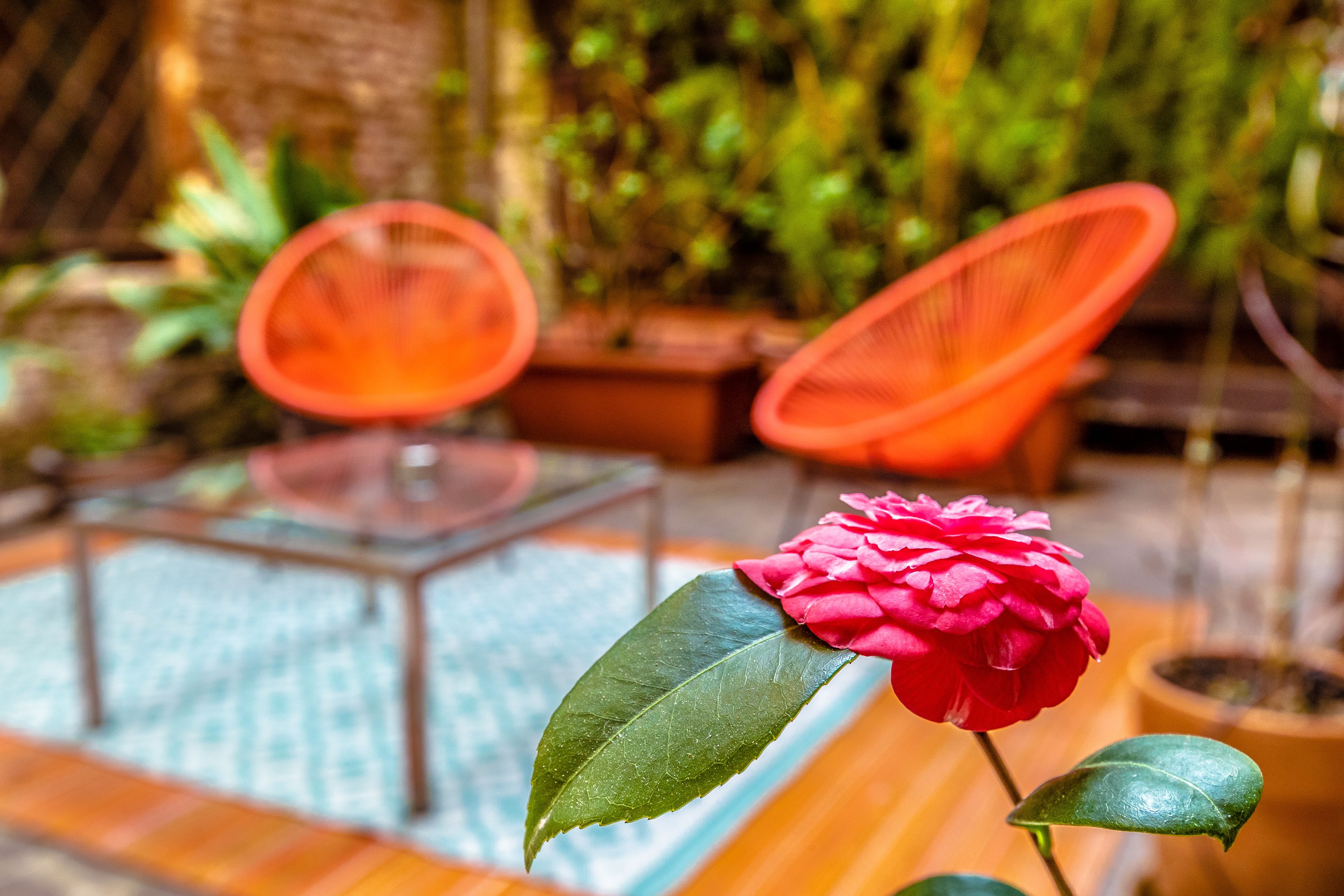 Junior Suite, 1 Queen Bed with Sofa bed (Comfort with Private Garden) | View from room